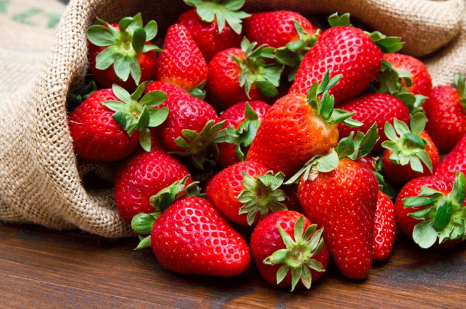 草莓是如何种植,看完以后终于明白草莓怎么种了!（种草莓的技巧和正确方式）